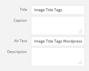 image-alt-tags