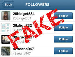 instagram fake followers